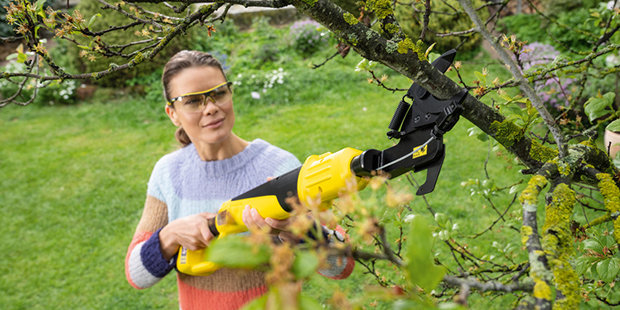 Karcher Battery tree lopper