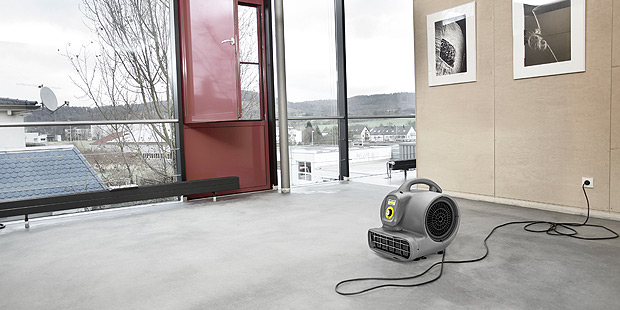 Karcher Air Blowers